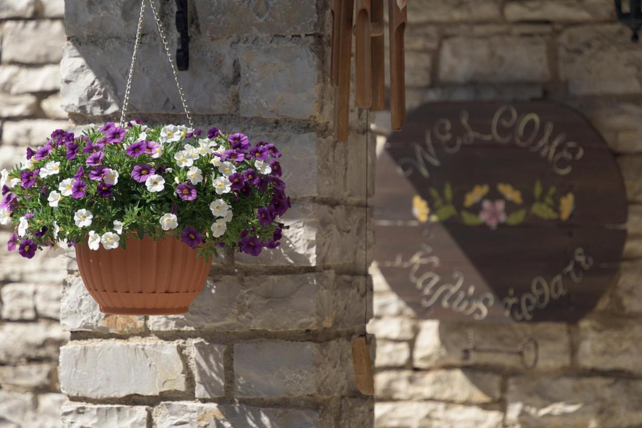 Ameliko Zagori Hotel Ano Pedina Exterior photo