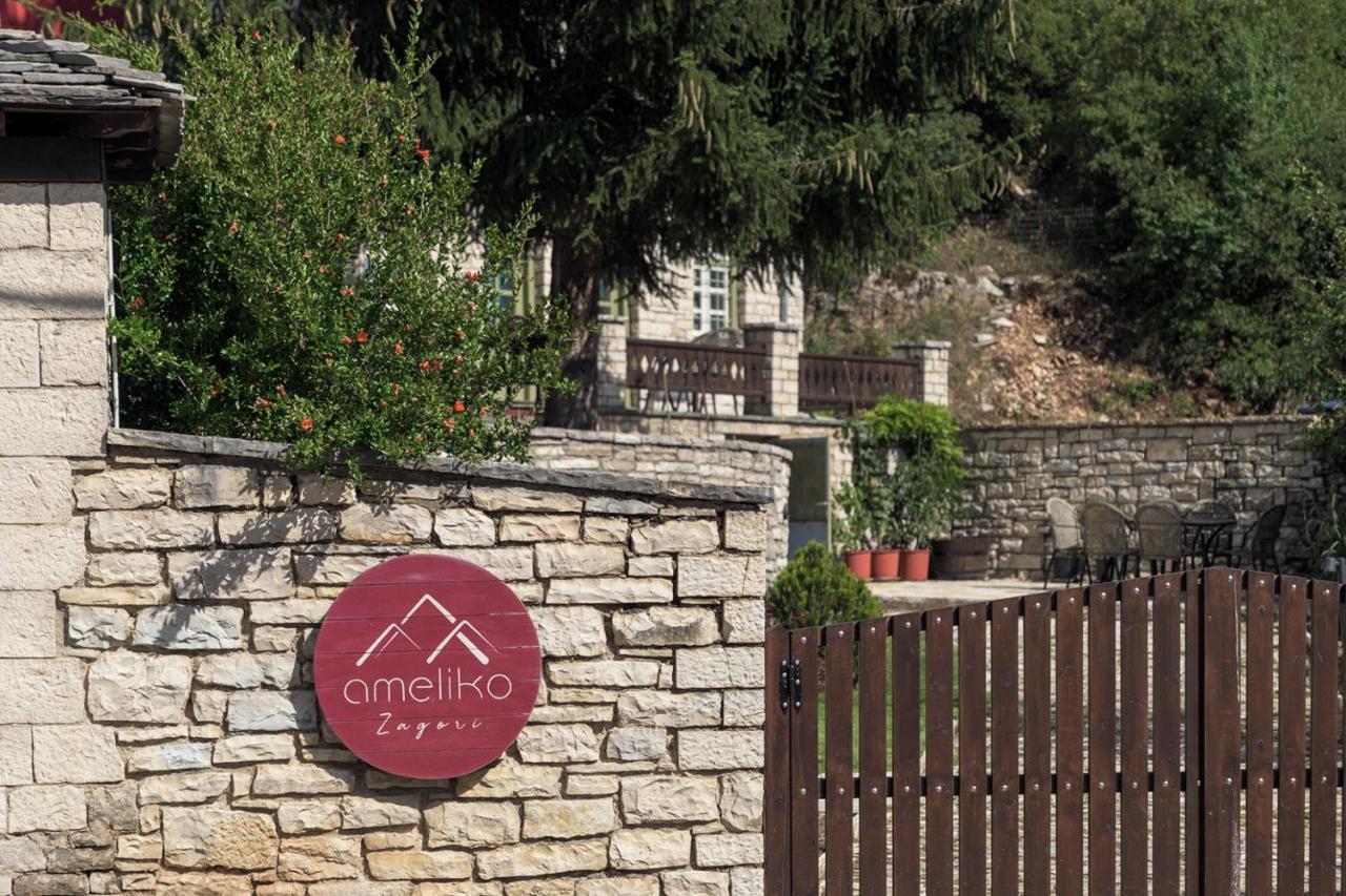 Ameliko Zagori Hotel Ano Pedina Exterior photo